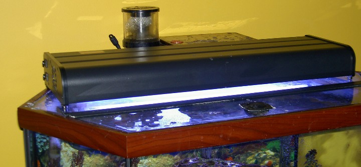 Different view of the T5 High Output light.