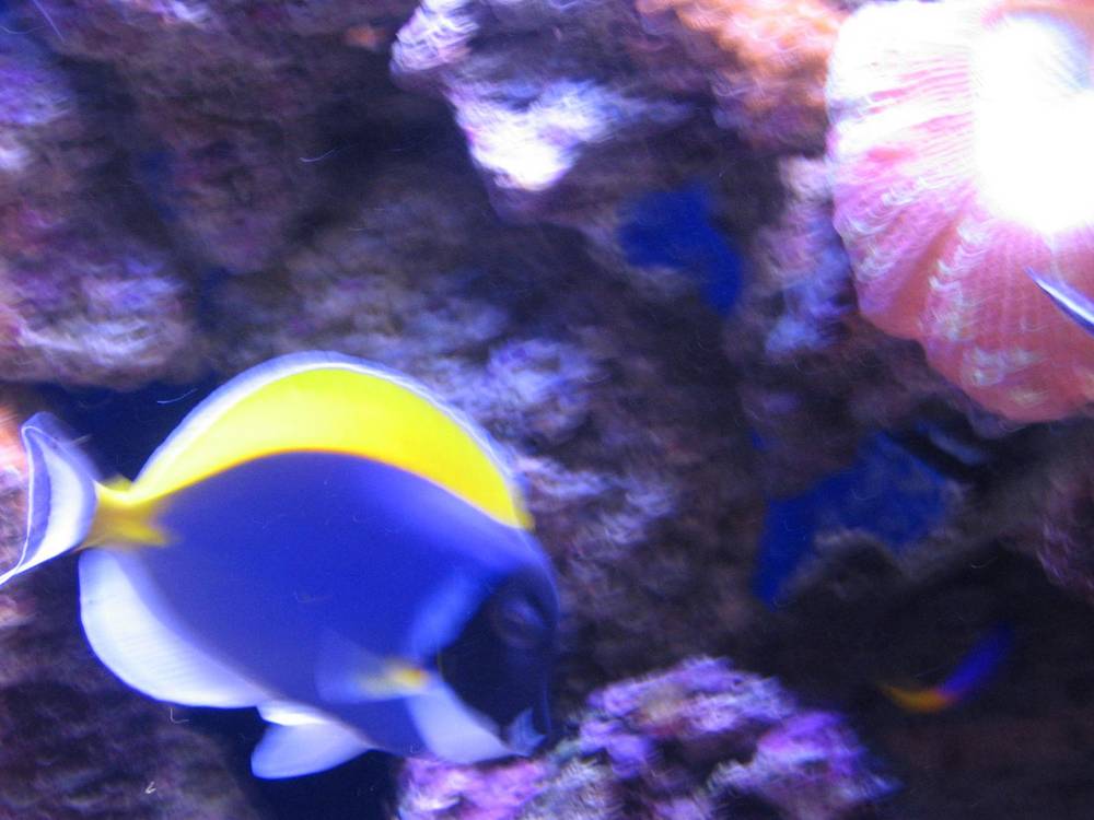 my new powder blue i got 12 days ago.
