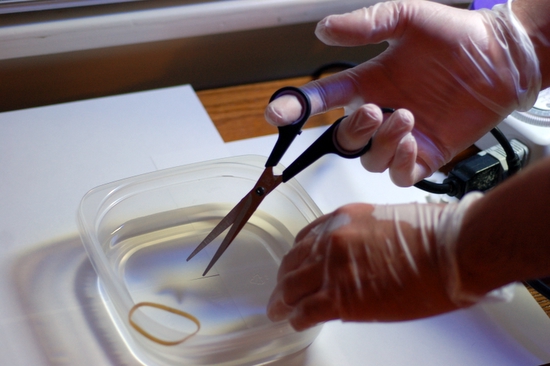 Plastic Container, Rubberband, Gloves Scissors