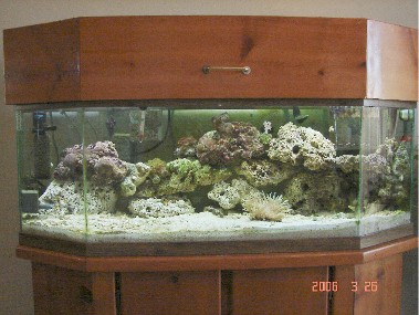 our tank
