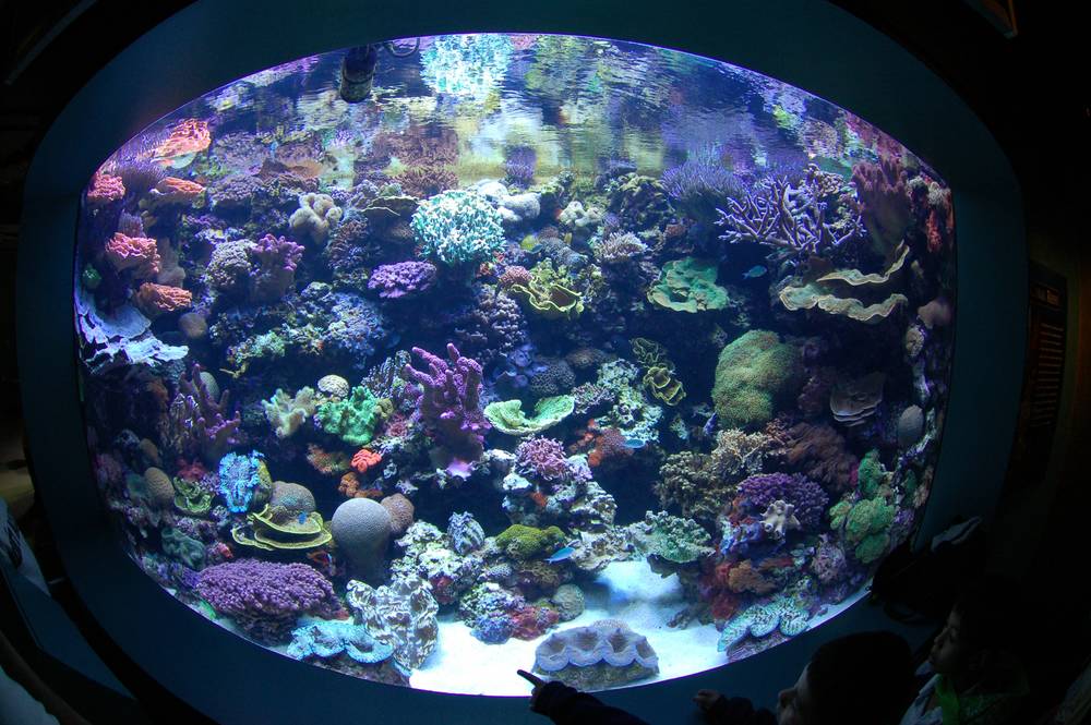O man...This is at the long beach aquarium...awsome