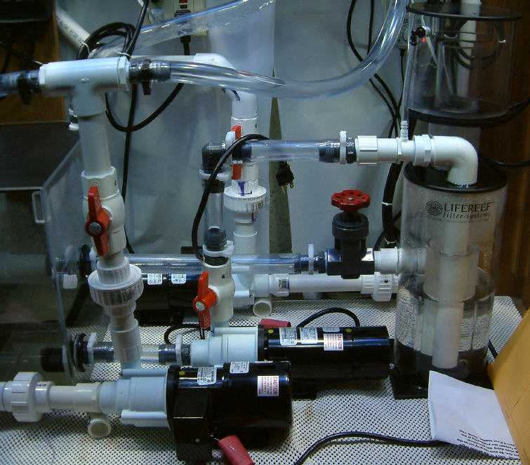 I put all the pumps and the skimmer on the right side and left room for the Cal Reactor that should...