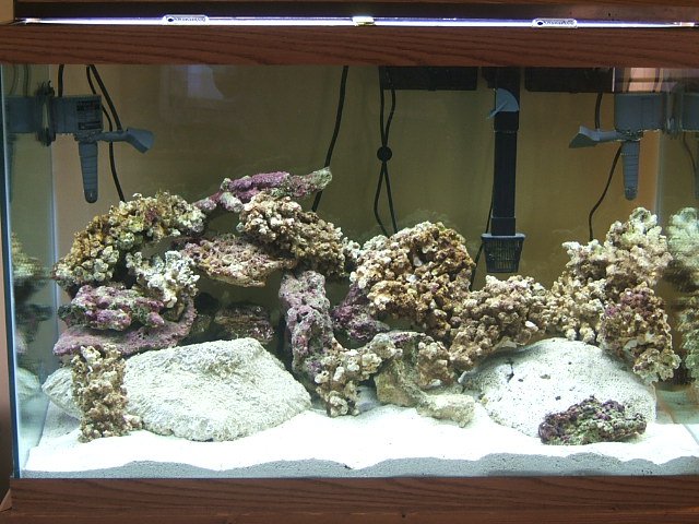 The tank at night