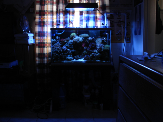 Overview of my 30g tank + equipment.  I&#039;m not done yet folks.  Wanna add a chiller, phos...