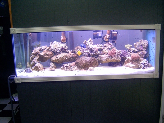 This is my new in wall 180 about 4mo old. Not a good pic but I will try to post more.