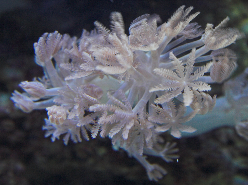 Exposure time: 1/25s<br />
Aperture: 5.6<br />
Metering mode: Multi-segment<br />
Focal length:...