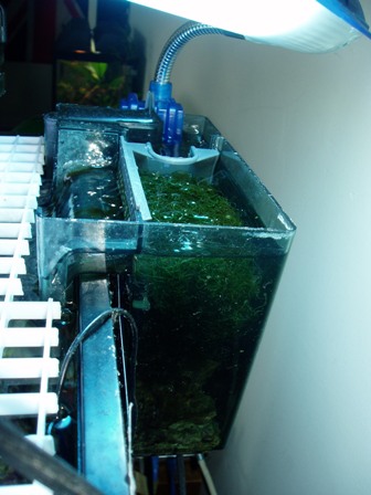 modified Aquaclear 200 nanofuge