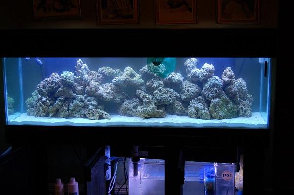 I set the rocke in the tank on 11/15/06, just started my cylce. !40 lb of LS and 180 lb of...