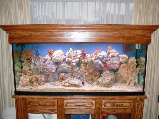 This is the stand and light cabinet that we built over 2 yrs ago
