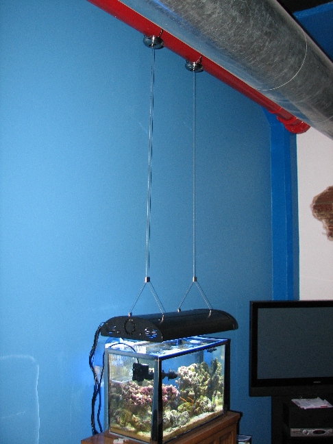 My 20 GAL Reef.  I have several small frags of Zoo&#039;s, Gorgs, Plate, Braireum, Cats Paw, Candy...