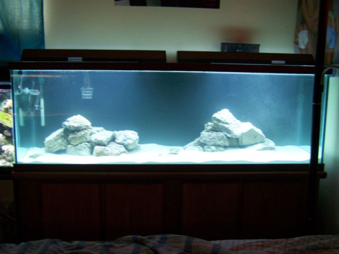 this is the first day with the new 100 gallon......