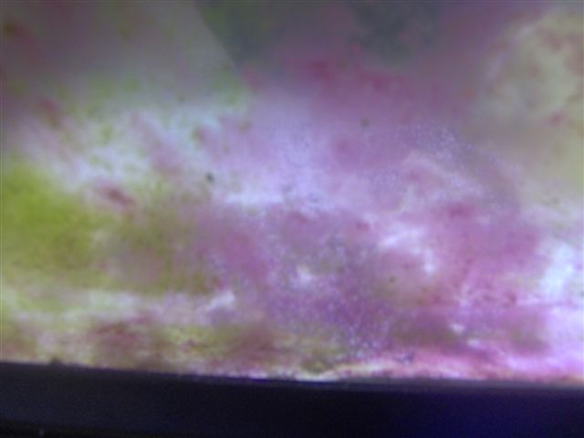 red slime on sand.. theres lots more....