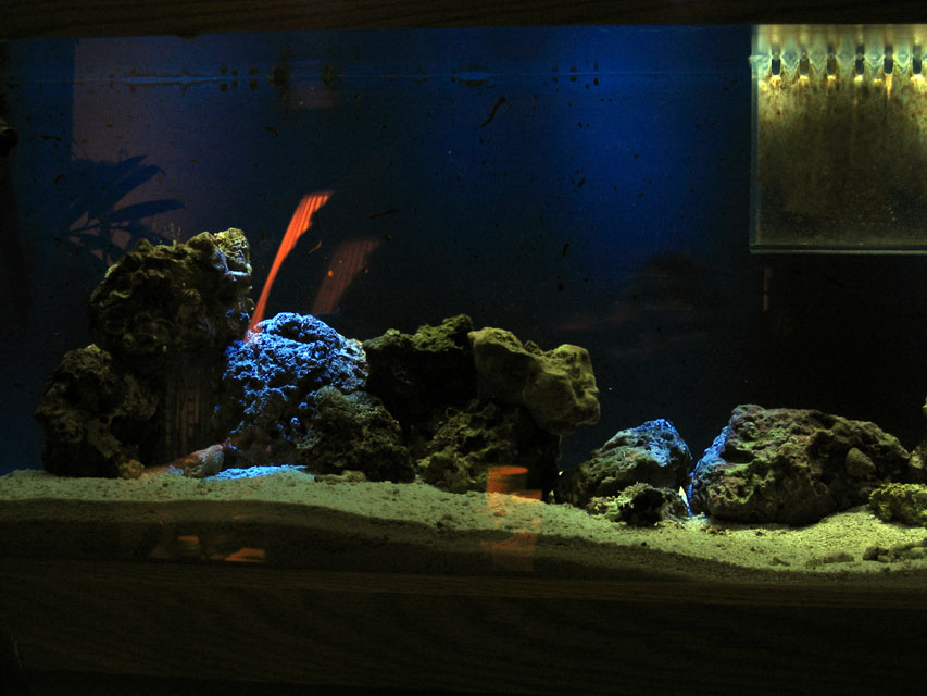 This is with my DIY moonlites