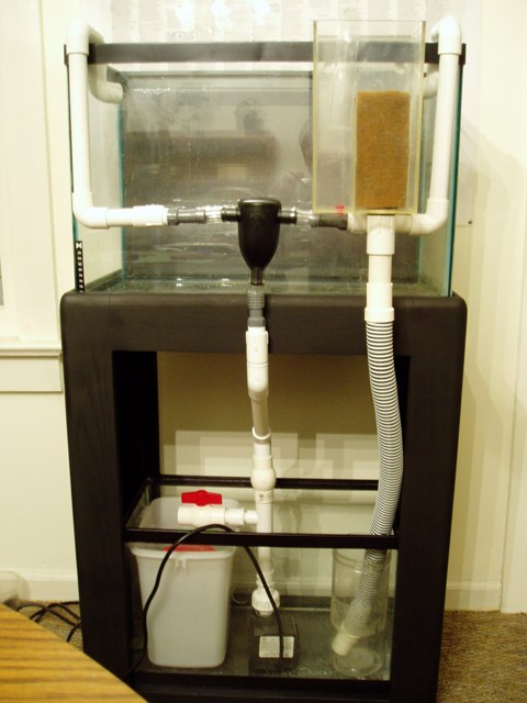 Dry fit of plumbing on 20H with 10 gallon sump.<br />
MAG7 return and SCWD used...