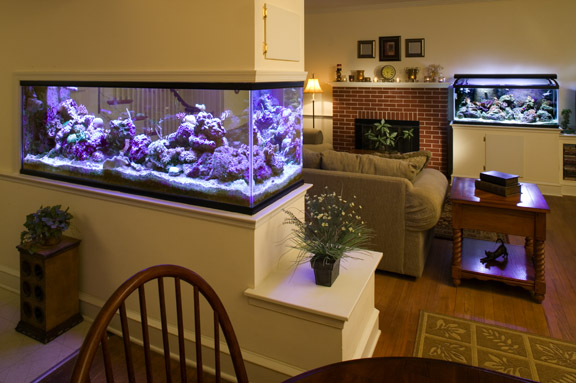 180g 3 sided and 75g clam tank
