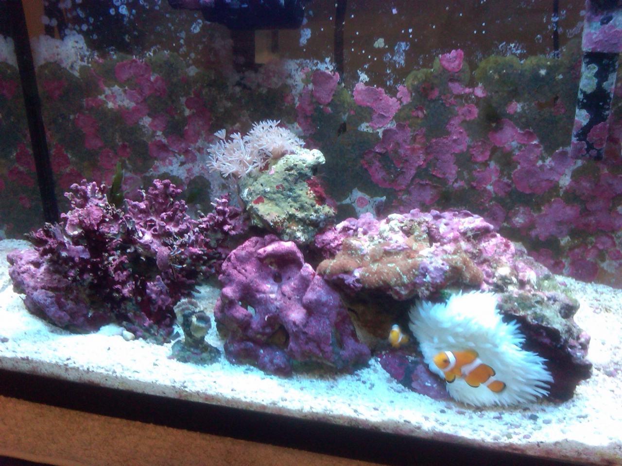 12 g nano 10/2010