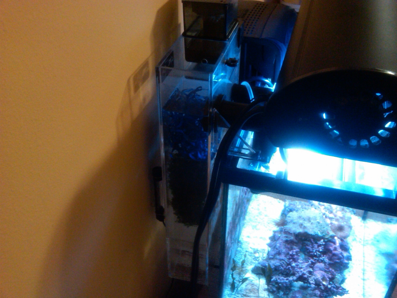 12 g nano 10/2010