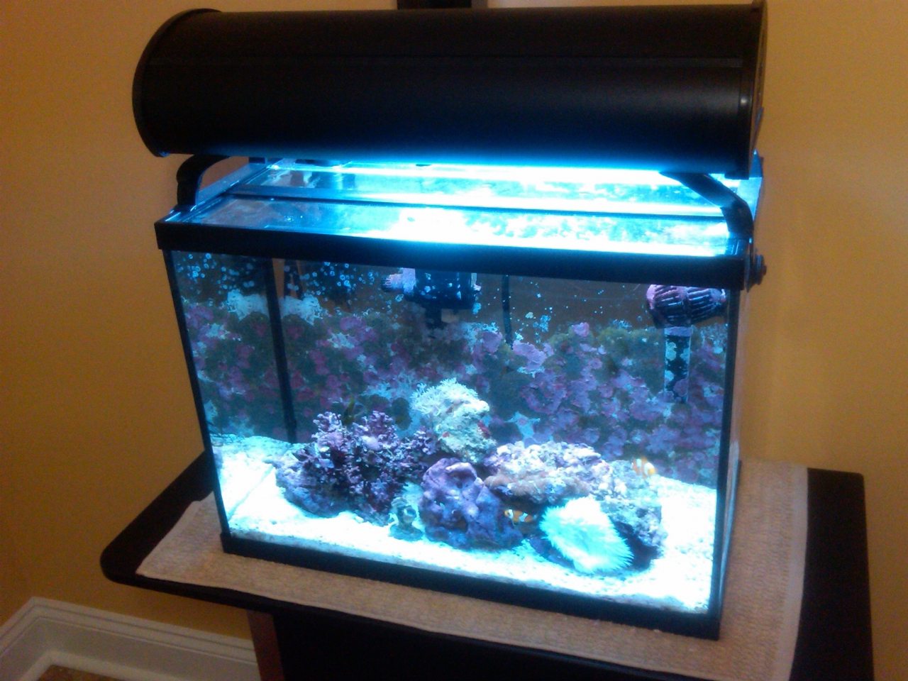 12 g nano 10/2010