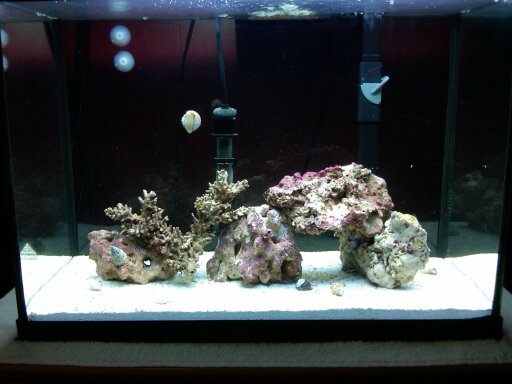 12 g nano 10/2009 cycling