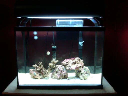 12 g nano 10/2009 cycling