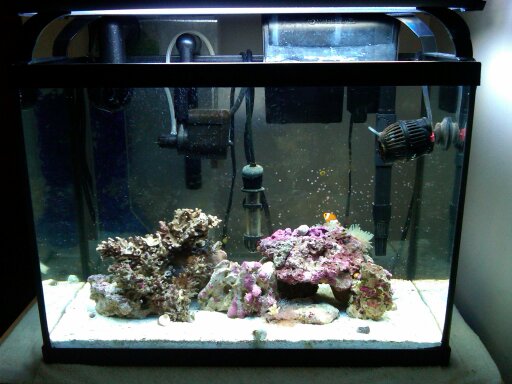 12 g nano 04/2010