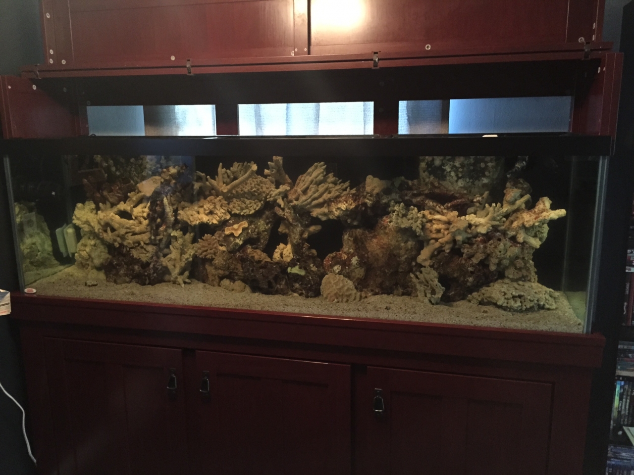 New Tank!