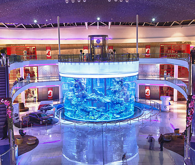 Morocco Mall aquarium uses Hamilton 1000 Watt metal halides.