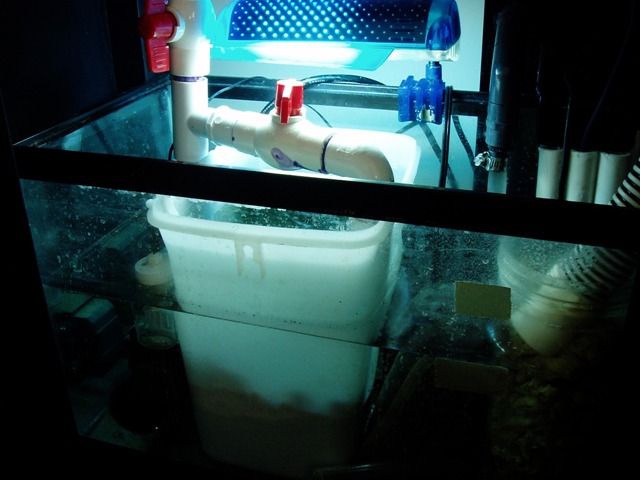 10 gallon AGA with rubbermaid container for a fuge.  MAG 7 return (via SCWD).  AquaC Remora w/...