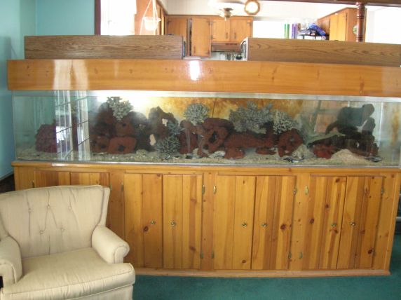 Overall this is just a general photo of it. Basically nothing is in it besides a 4 foot dragon eel,...