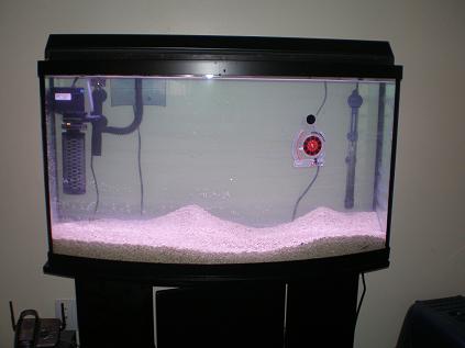 hi there new to saltwater but long time with freshwater here some pic&#039;s of my new set up i...