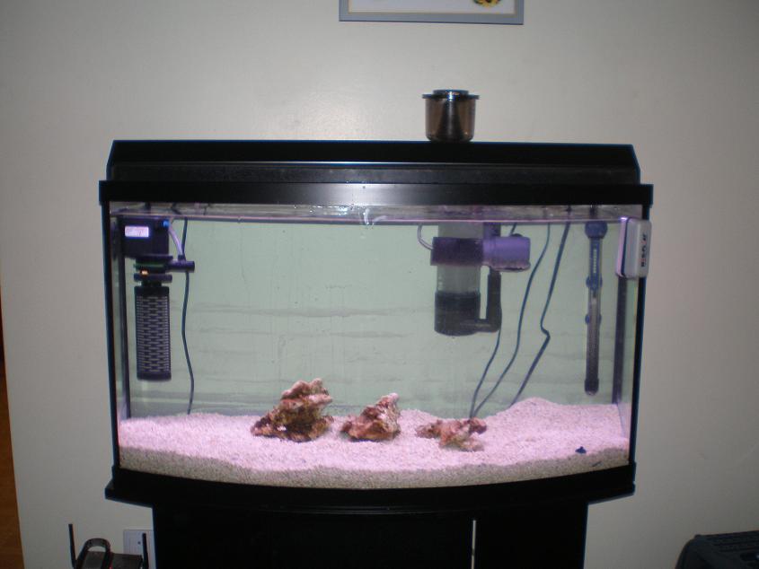 new set up more pic
