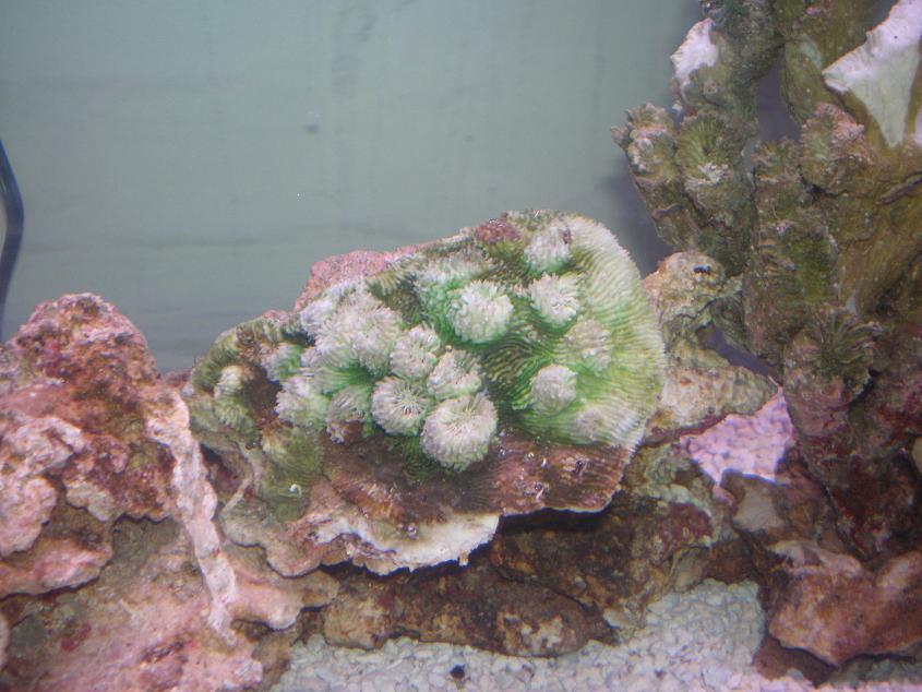 more pic 2