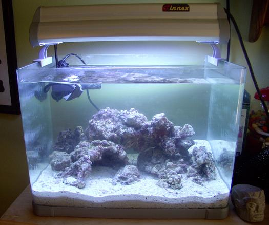 Our first saltwater tank. Pic taken 2 days after adding 10.2 lbs LR. The 28watt 50/50 will be...