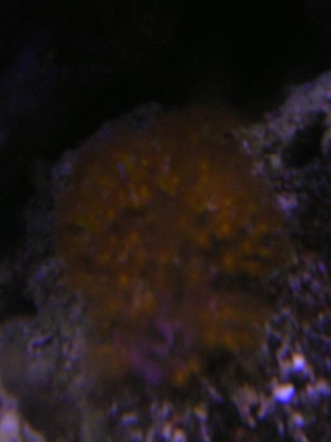 bad photo quality