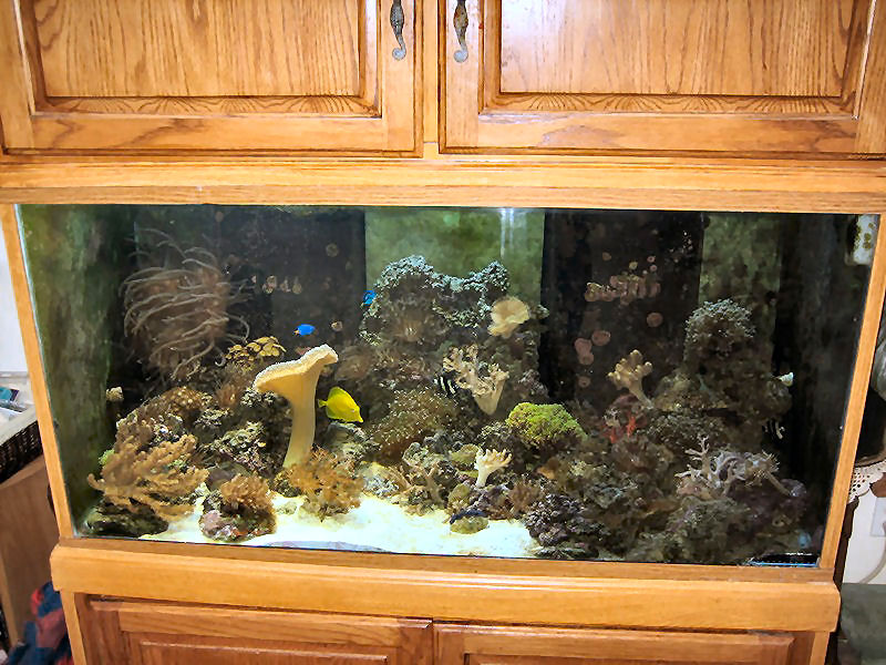 125 gal.