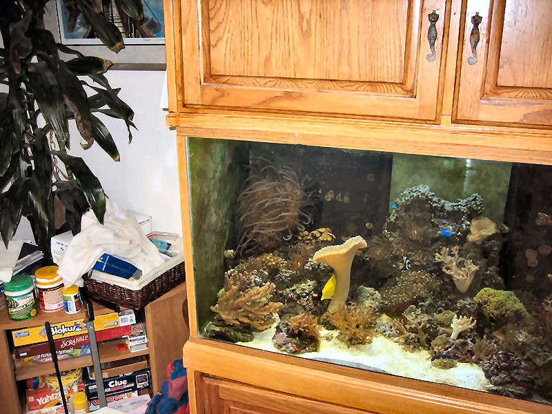 125 gal.