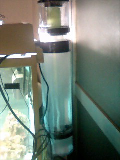 The first version of this tank just had an undergravel that led to a filter floss filter that...