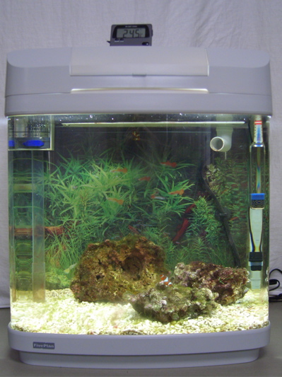 Stock &quot;fresh or salt&quot; tank, with undergravel floss type filter.  I added some bio balls...