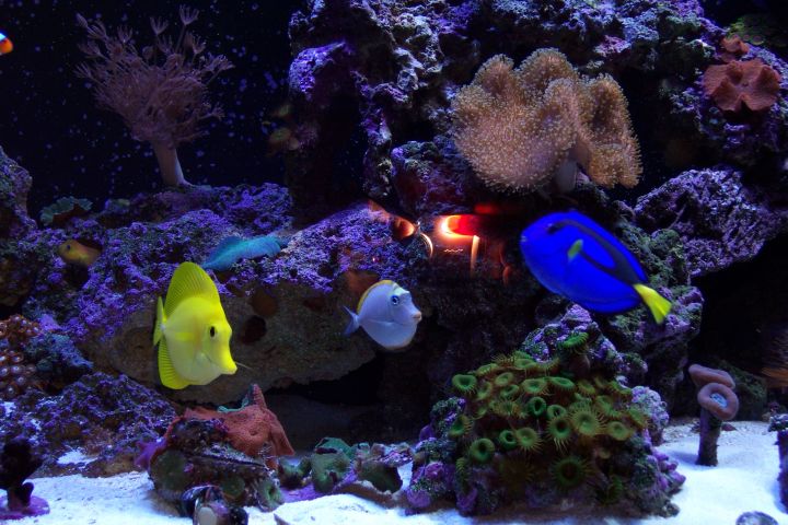 MY 90 gal after 4 months