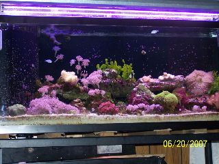 tank at 3 1/2 months