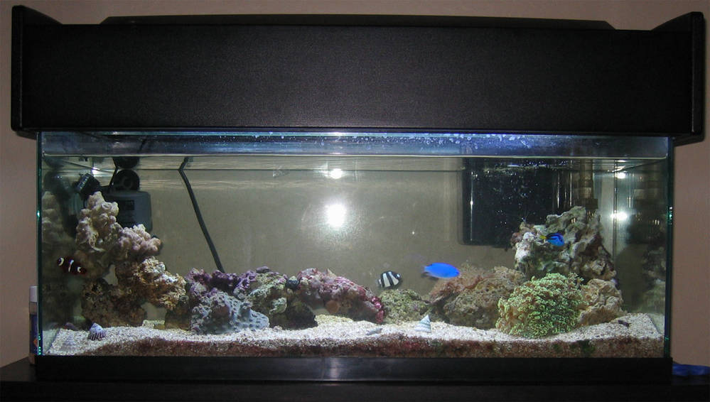 20L