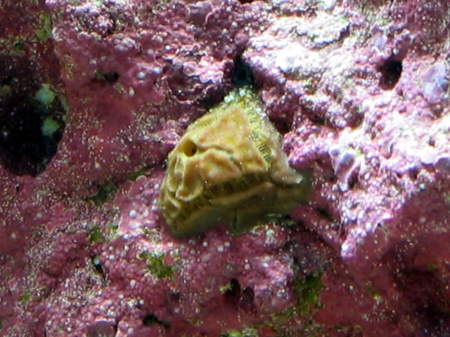 What is this?