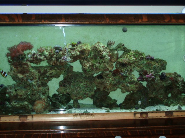 complete tank