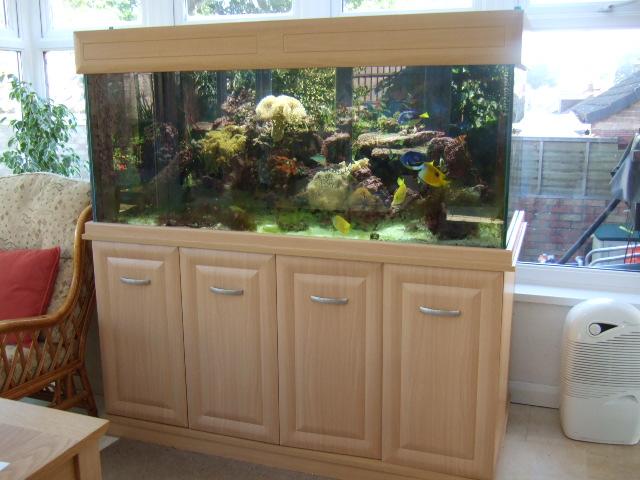my new tank