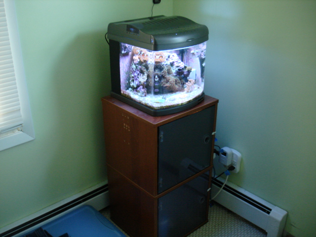 This gives you an idea of my setup.  My sump/refuguim stay behind closed doors due to my 2 year old...