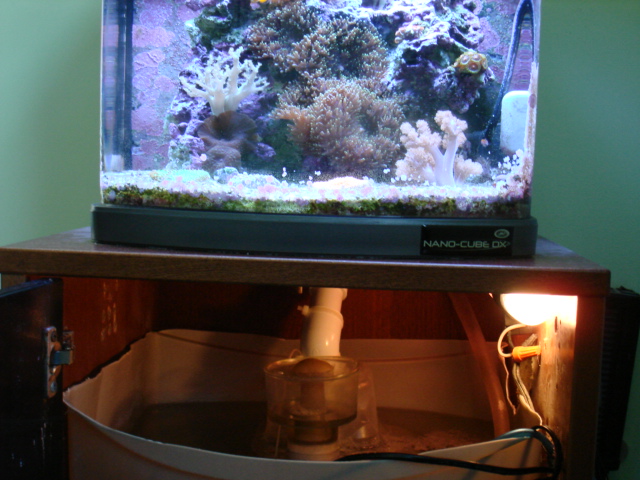 This gives you an idea of my setup.  My sump/refuguim stay behind closed doors due to my 2 year old...