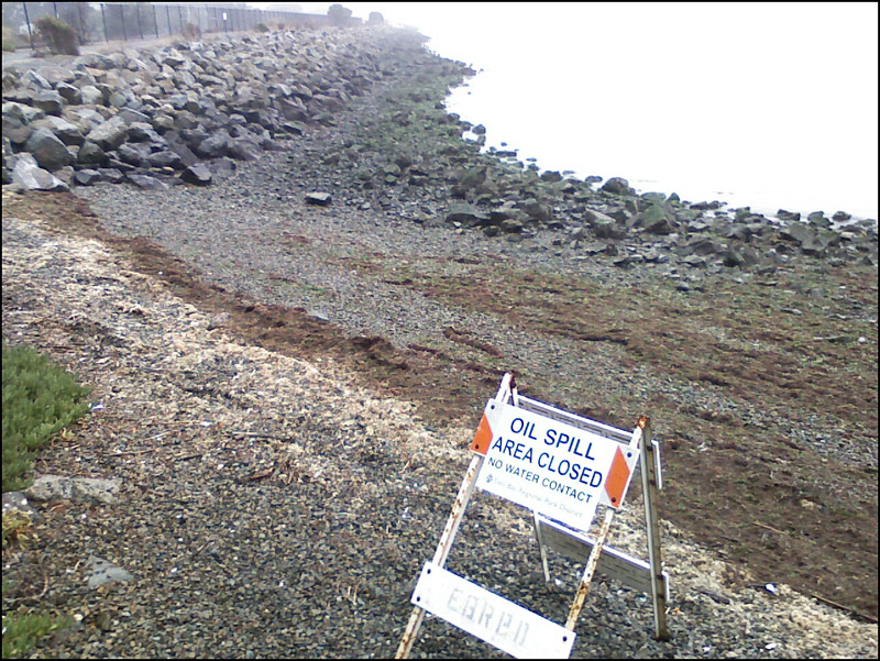 The sign at my beach, 2 blocks from my house.