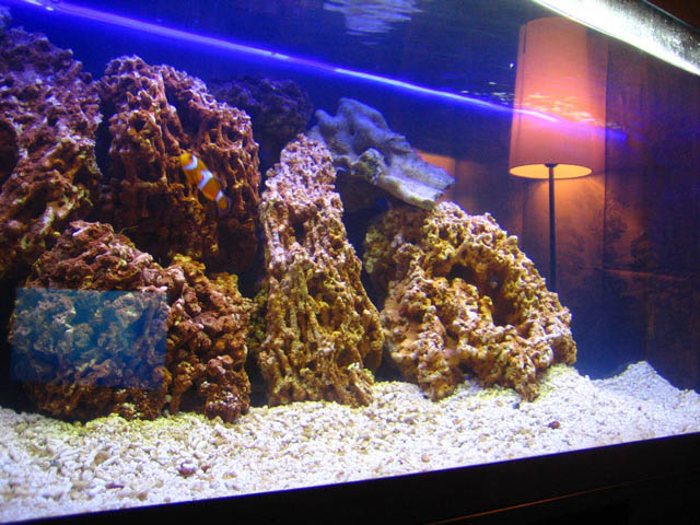 It&#039;s a Jewel Rio 240 tank (75gal) with internal filter by Jewel.