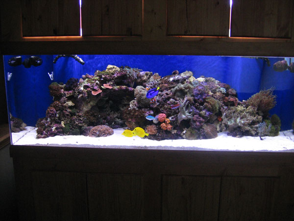 full tank shot
