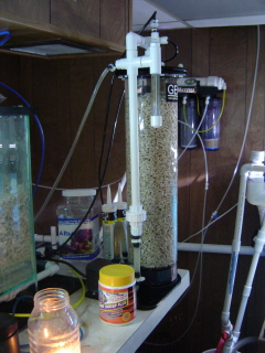 This thing is a calcium making machine